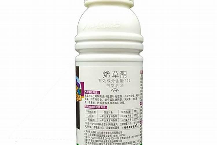 老枝开花的绣球花期过后如何施肥,绣球花什么时间移盆最好