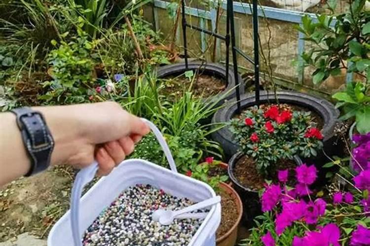 买的有机肥料怎么用