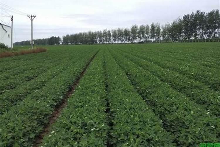 硼肥可以不写备案号吗