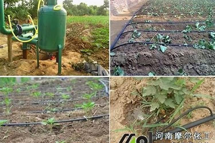 汉川的变化是什么