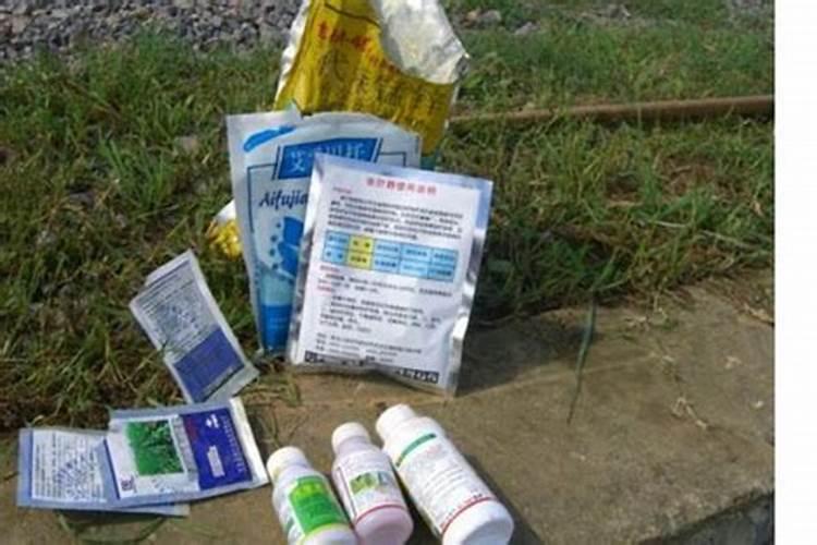 胡萝卜膨果冲施什么肥料？胡萝卜膨果叶面肥什么时候用合适