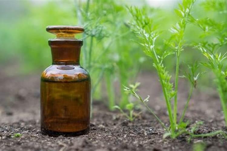 帆布池消毒最好用什么方法