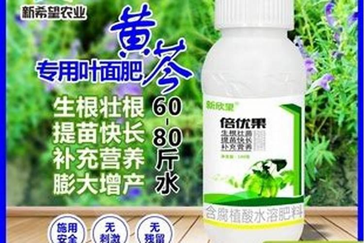 黄芪要如何种植？正确的栽培技术是什么？
