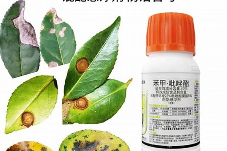 水稻褐斑病用什么杀菌剂好