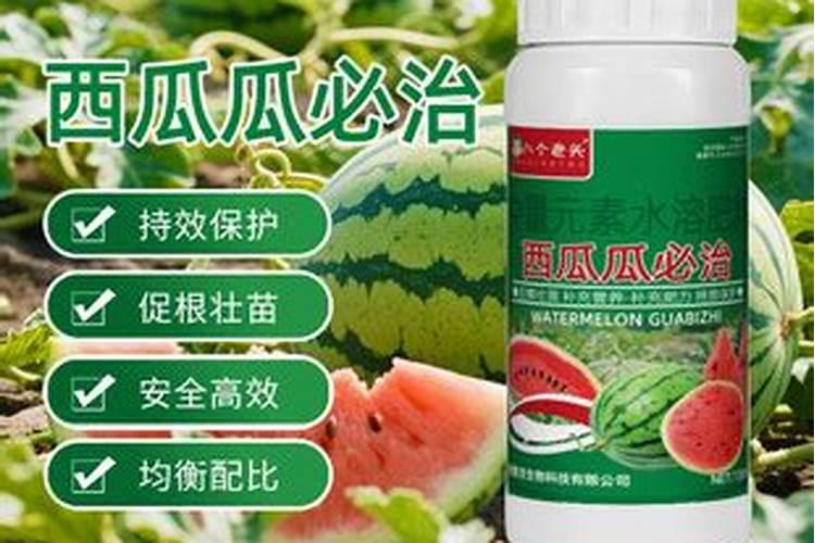 花椒春夏如何管理