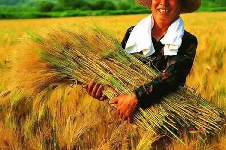 宝宝40天了体温37度算发烧吗可以打针吗