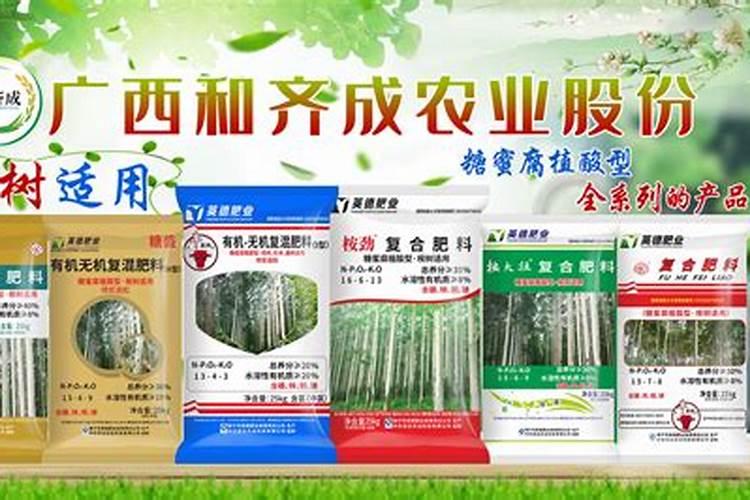 桉树用什么肥料最合适