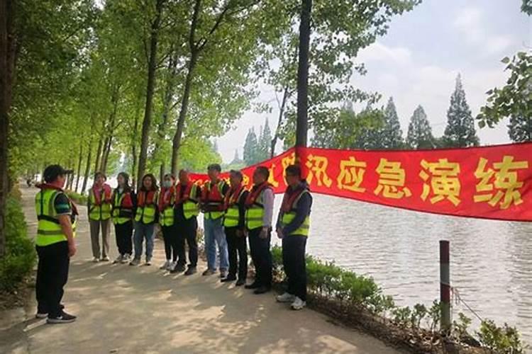 有机复合肥颗粒怎么用