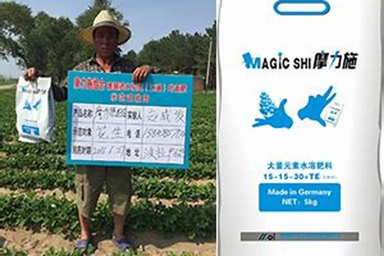 桃树什么时候施肥效果好,桃树施肥最佳时间