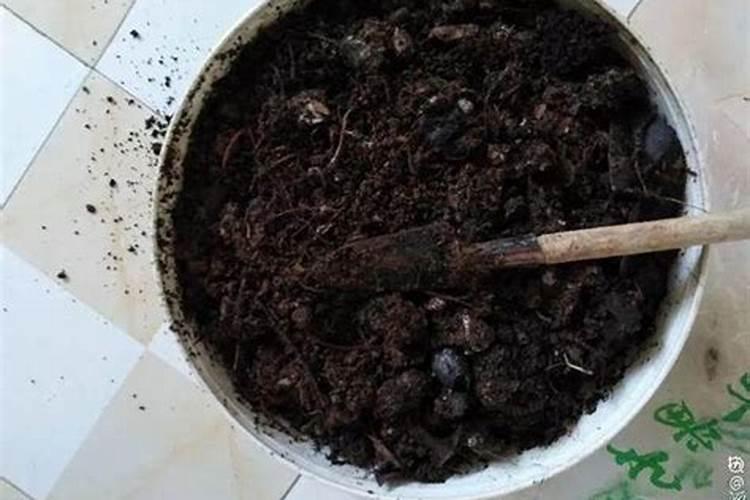 香瓜膨果期保产增收的施肥建议这样做