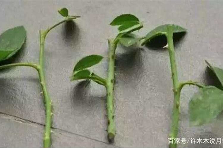 热喷的使用方法