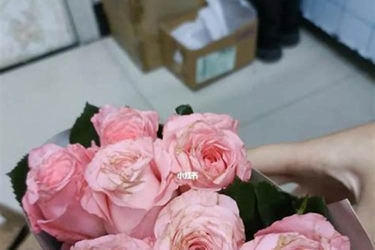 玫瑰花施肥施什么肥料