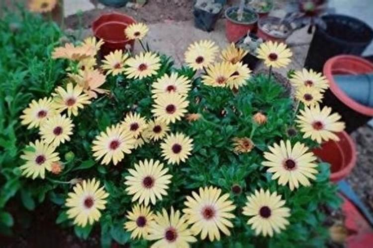 宿州农机驾驶证在哪里办理