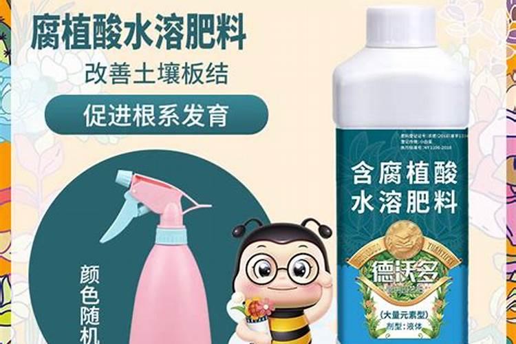 6种药片可做花肥,发财树用什么药片