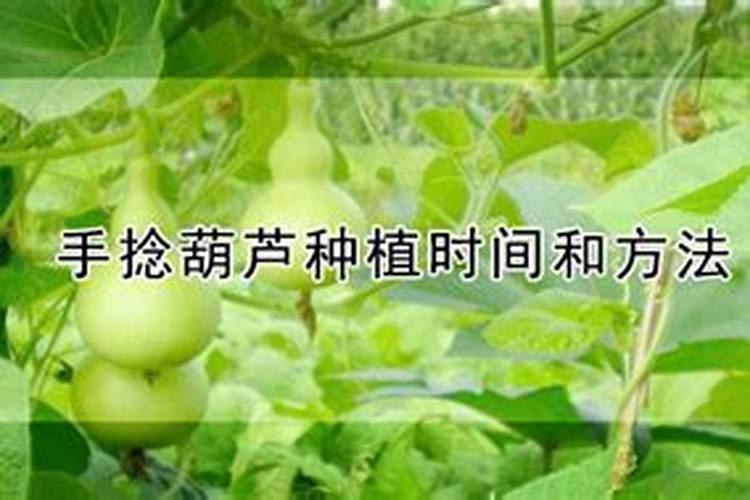 全国复合肥十大名牌排行榜