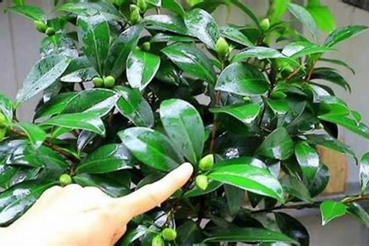 排污许可证自行监测指南名称汇总