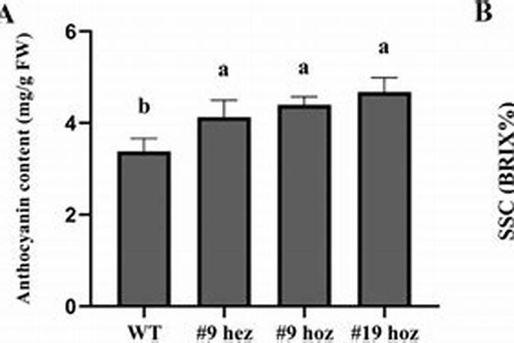 草莓要施什么肥料