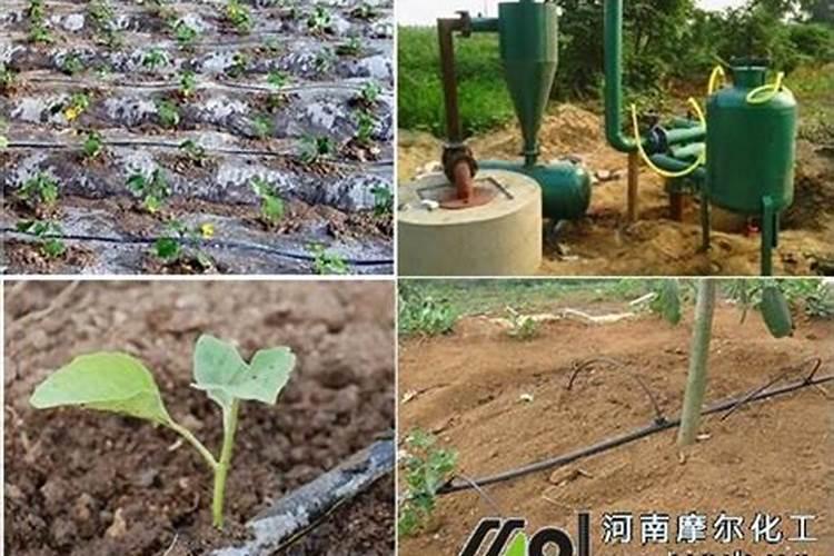 水溶肥滴灌用多大浓度