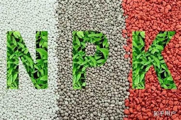 2022年十大养生壶品牌