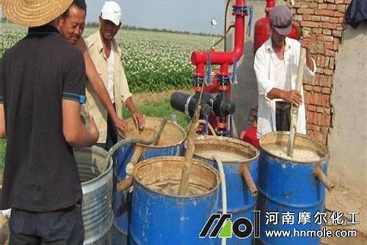 果树补钙用什么钙肥好 什么时候使用效果好