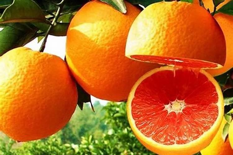 联拓数科:生鲜超市如何破解低复购困局？