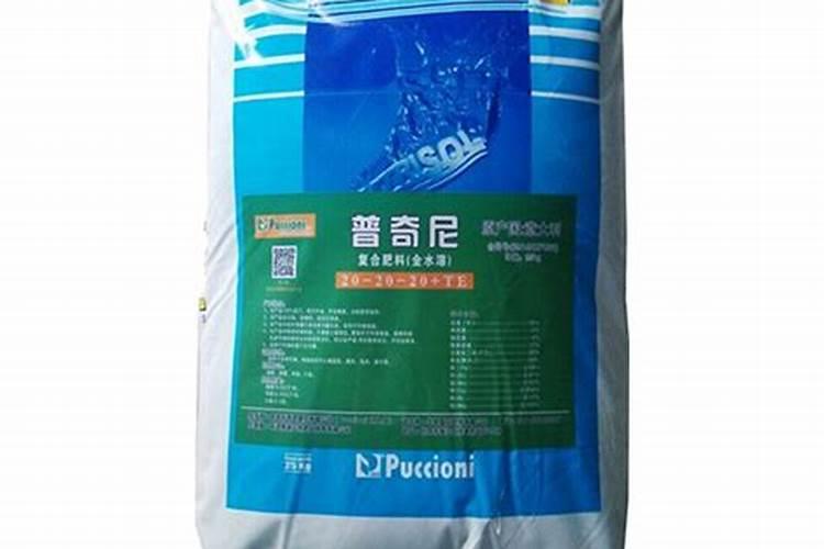 灯笼椒为什么不结果