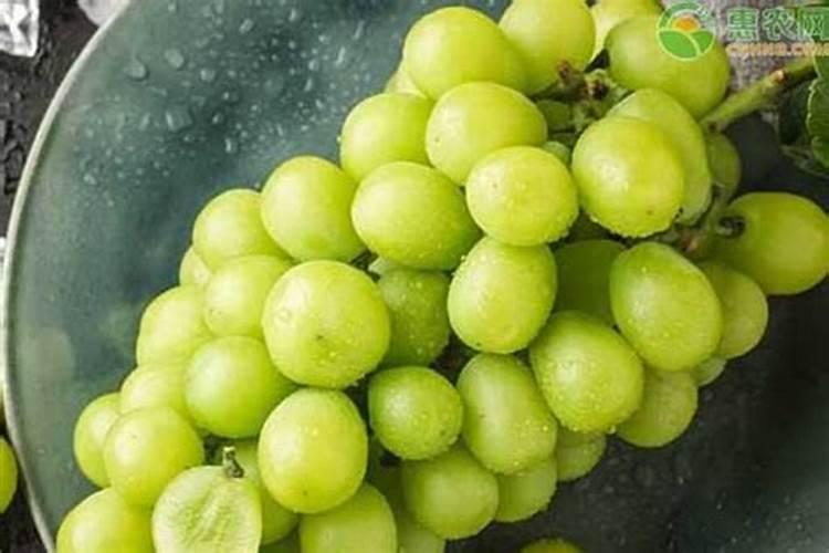 面对葡萄后期软果的状况,采取什么补救手段？