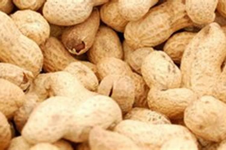 大蒜膨大期用什么肥料