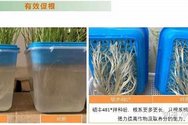 荷尔露荷尔露的功效