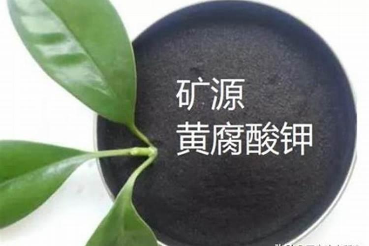美德盛(天津)化肥有限公司怎么样？