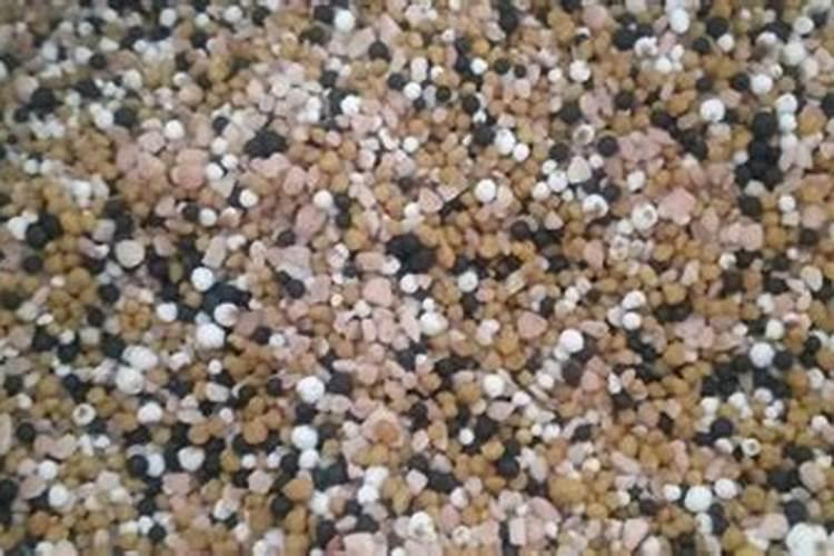 果树什么时候剪枝