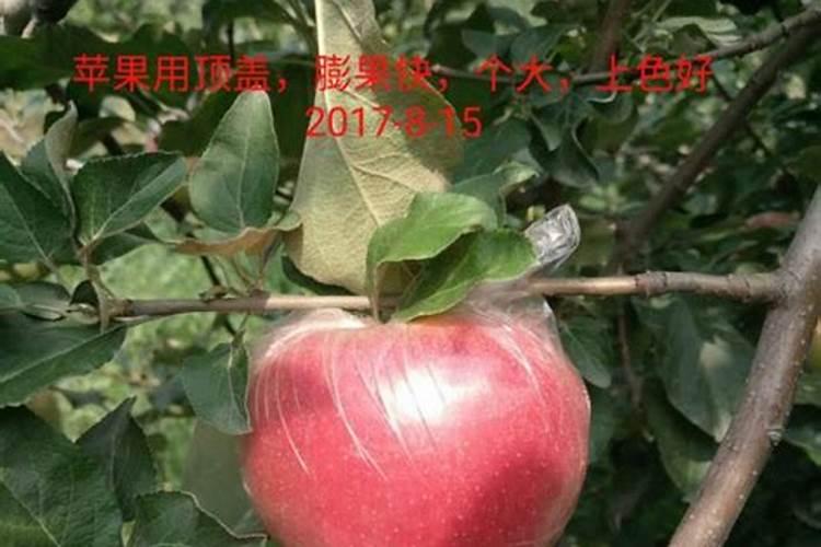 果实膨果上色,为什么要用高磷高钾类的肥料？