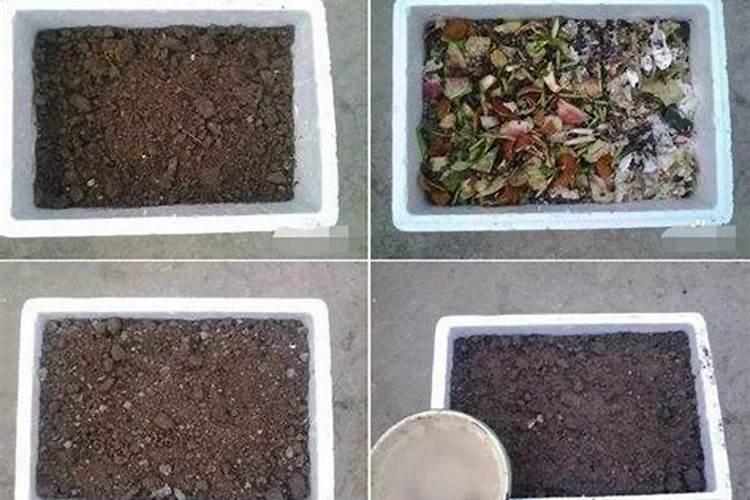 请教:蓖麻子当花肥如何处理？