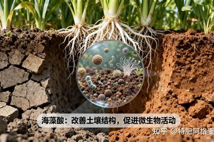 青岛云水清日化有限公司怎么样？