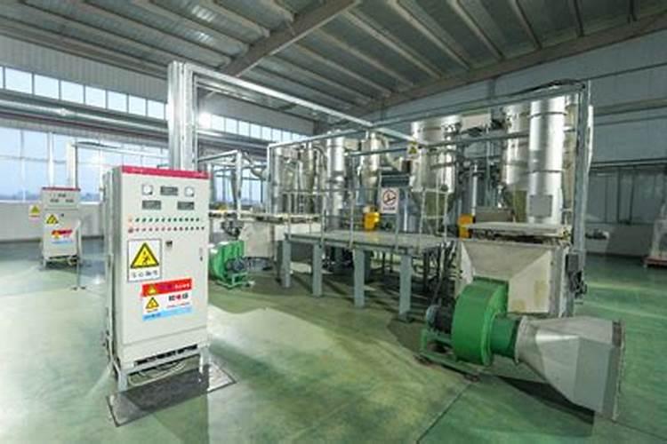 刚种荔枝苗种下多久可以施肥