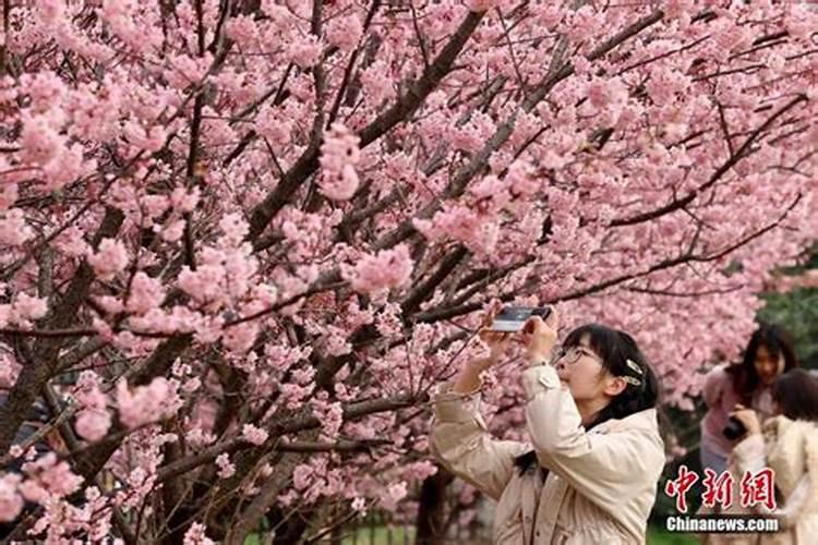 硝酸钙镁肥能不能与复合肥混用