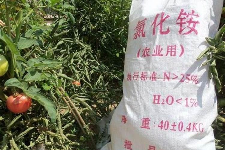 湖北省氮肥企业招商产品