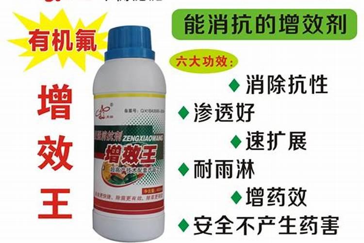 怎样让桃子长的大又好看