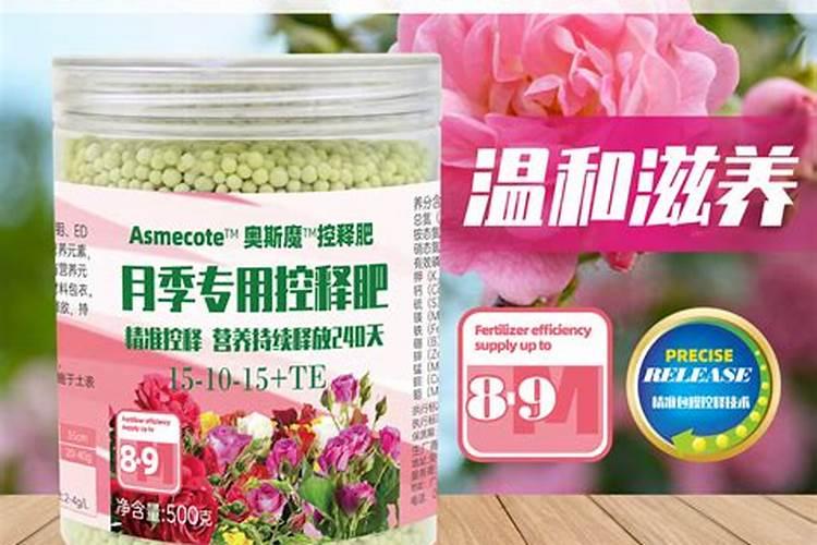蔷薇花需要什么肥料