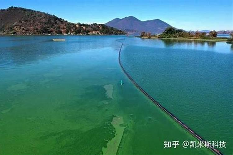 氮循环和磷循环