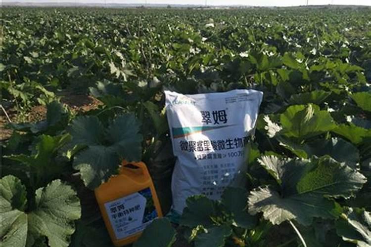 水肥一体化背后的国际战争