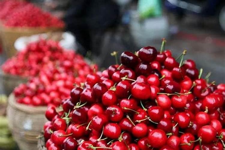 怎样给植物施肥