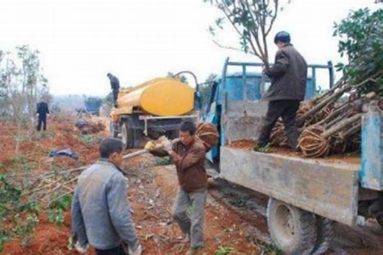 怎样充分发挥肥效的重要措施？