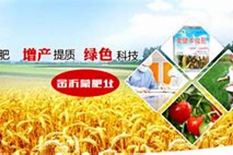 湖北浩斯特复合肥怎么样
