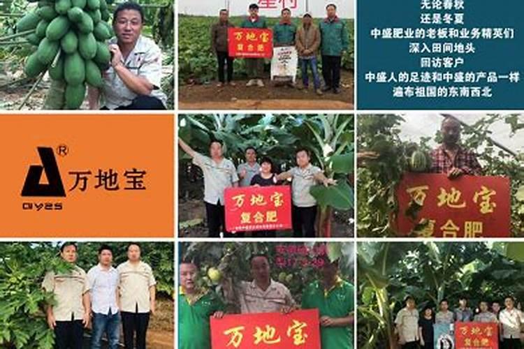 求震音大的DJ？