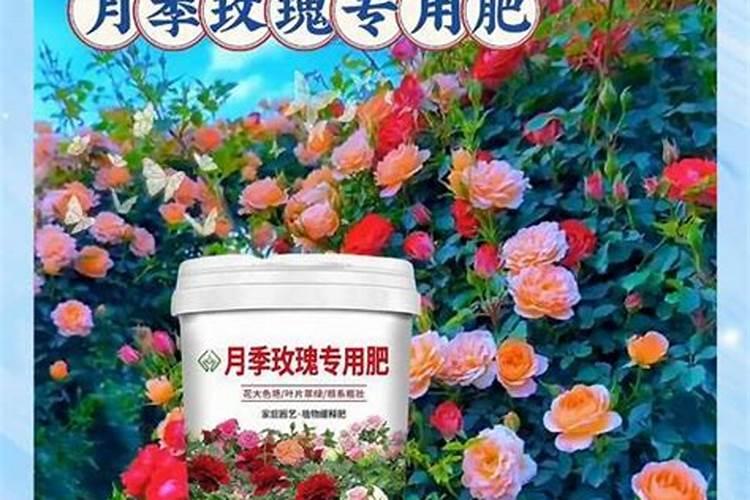 家中经常见的哪些东西是多肉的极品肥料？