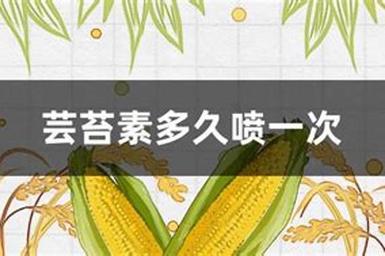 玉米什么时候喷施磷酸二氢钾和芸苔素