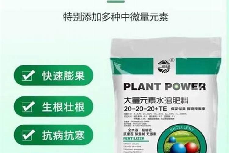 理由是什么意思