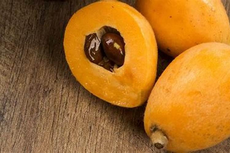 茶花用什么肥料好,茶花的四季施肥方法