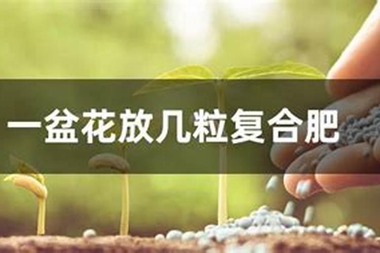 复合肥一盆施几粒 如何给花施肥